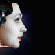 Illustration for article titled Can You Answer These Questions That Facebook Thinks Any Good AI Should?